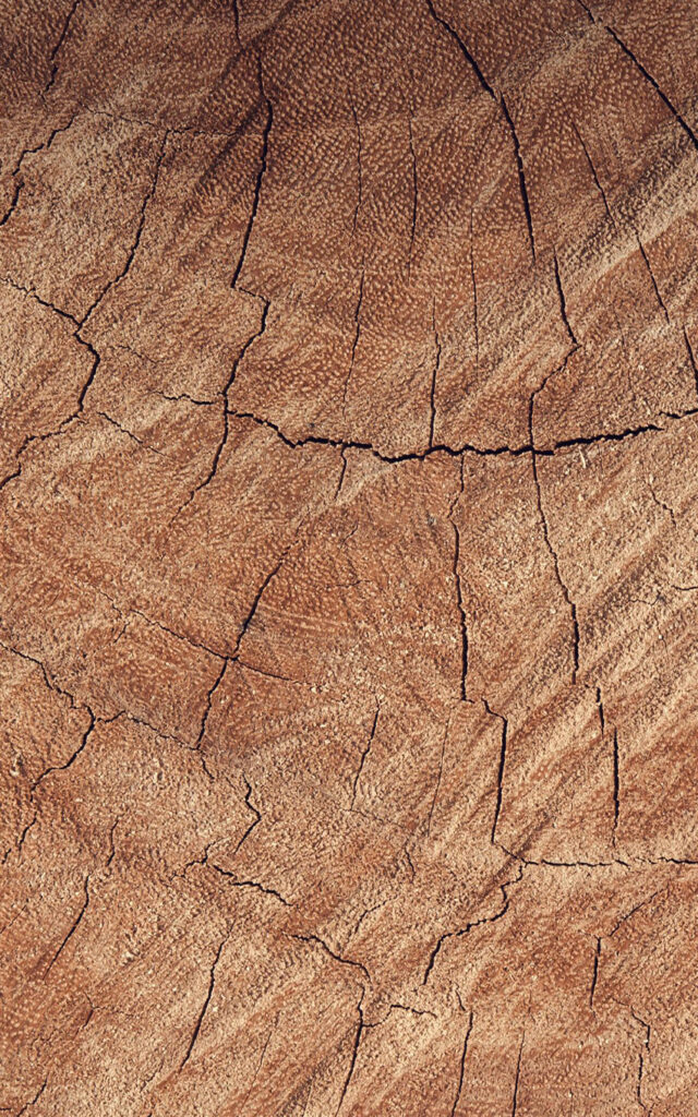 wood